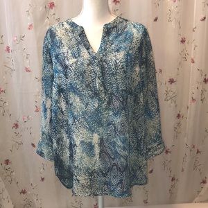 3/$20 Sandra Ingrish Studio Sheer Blouse